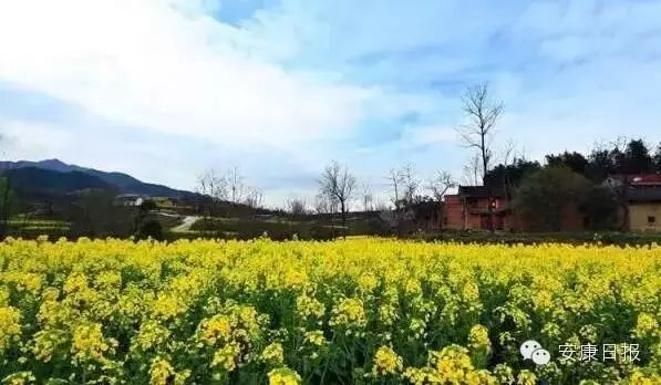 汉阴县漩涡镇富硒大米(汉阴富硒大米价格)-硒宝网