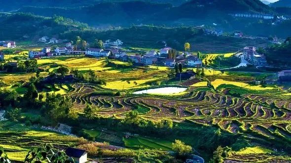 汉阴县漩涡镇富硒大米(安康富硒大米)-硒宝网