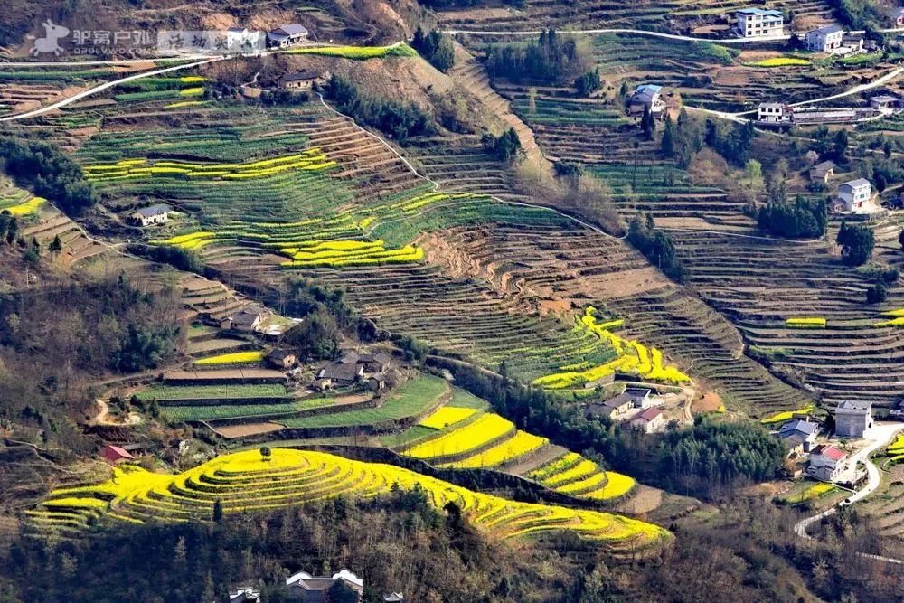 汉阴县漩涡镇富硒大米(安康富硒大米)-硒宝网