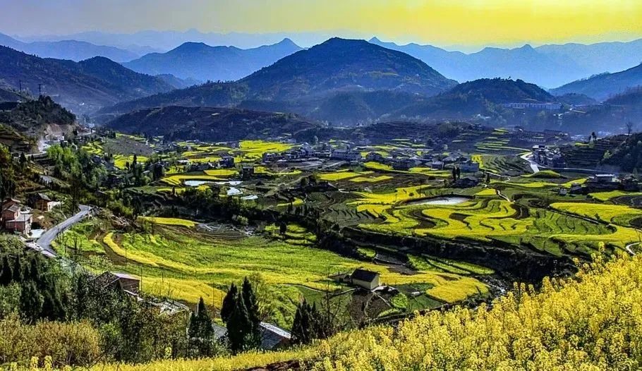 汉阴县漩涡镇富硒大米(安康富硒大米)-硒宝网