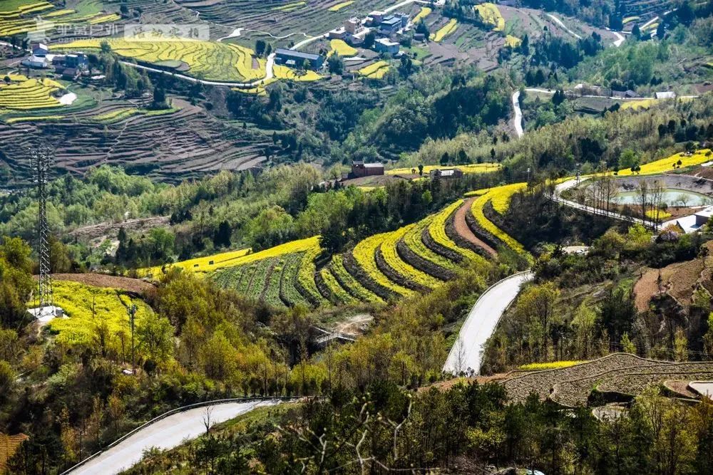 汉阴县漩涡镇富硒大米(安康富硒大米)-硒宝网