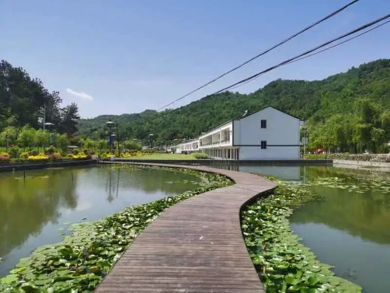 汉阴县漩涡镇富硒大米(安康富硒大米)-硒宝网