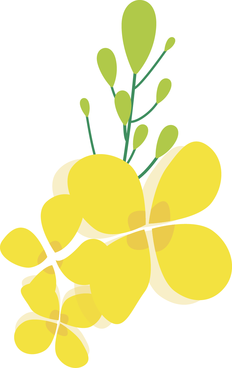 汉阴县漩涡镇富硒大米(安康富硒大米)-硒宝网