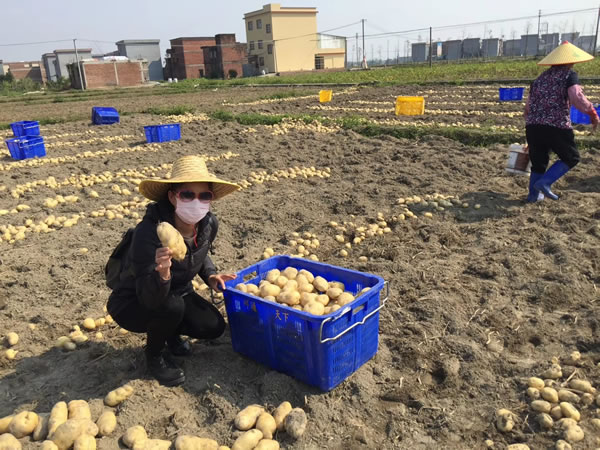 方县富硒大米价格多少（富硒大米市场分析）-硒宝网