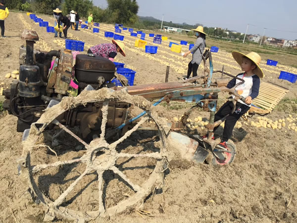 方县富硒大米价格多少（富硒大米市场分析）-硒宝网