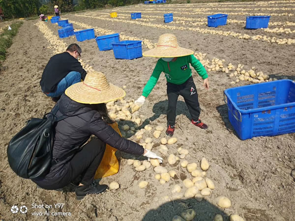 方县富硒大米价格多少（富硒大米市场分析）-硒宝网