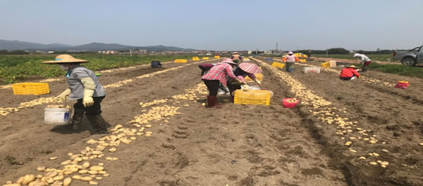 方县富硒大米价格多少（富硒大米市场分析）-硒宝网