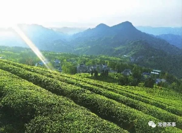 富硒大米算保健食品吗(据报道富硒大米有多种保健功能)-硒宝网