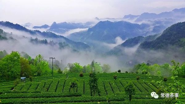 富硒大米算保健食品吗(据报道富硒大米有多种保健功能)-硒宝网