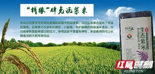 富硒大米算保健食品吗(据报道富硒大米有多种保健功能)-硒宝网