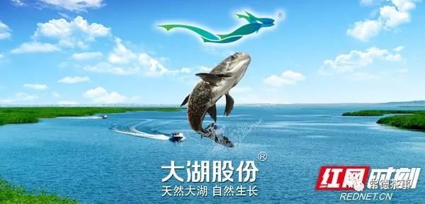 富硒大米算保健食品吗(据报道富硒大米有多种保健功能)-硒宝网