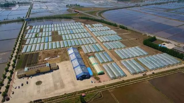 黑龙江富硒大米有哪些（黑龙江产的富硒大米哪里有卖）-硒宝网