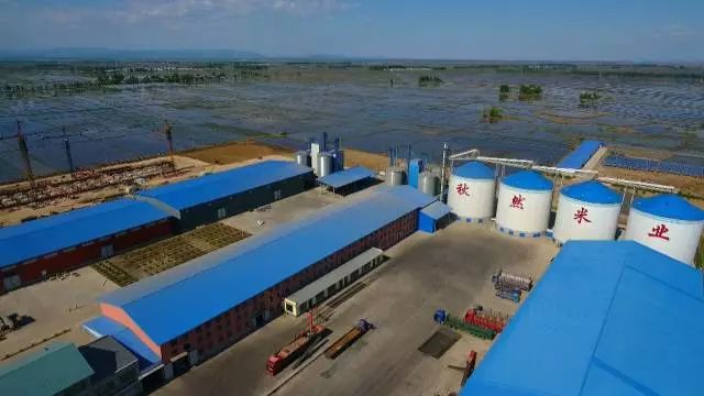 黑龙江富硒大米有哪些（黑龙江产的富硒大米哪里有卖）-硒宝网