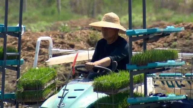 黑龙江富硒大米有哪些（黑龙江产的富硒大米哪里有卖）-硒宝网