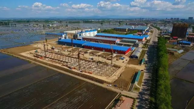 黑龙江富硒大米有哪些（黑龙江产的富硒大米哪里有卖）-硒宝网