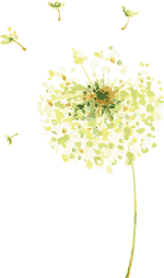 黑龙江富硒大米有哪些（黑龙江产的富硒大米哪里有卖）-硒宝网