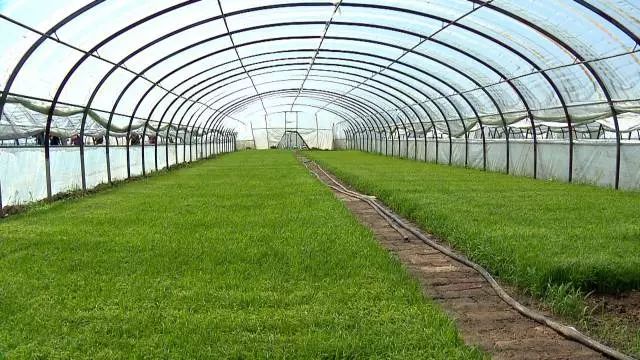 黑龙江富硒大米有哪些（黑龙江产的富硒大米哪里有卖）-硒宝网