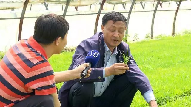 黑龙江富硒大米有哪些（黑龙江产的富硒大米哪里有卖）-硒宝网