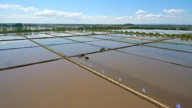 黑龙江富硒大米有哪些（黑龙江产的富硒大米哪里有卖）-硒宝网