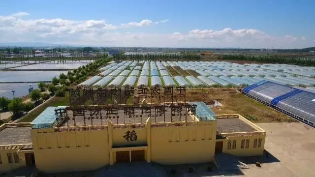 黑龙江富硒大米有哪些（黑龙江产的富硒大米哪里有卖）-硒宝网