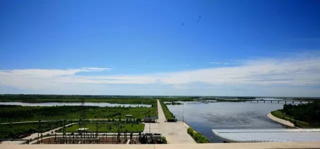 黑龙江富硒大米有哪些（黑龙江省富硒大米）-硒宝网