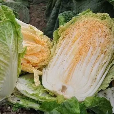 黑龙江富硒大米有哪些（黑龙江省富硒大米）-硒宝网