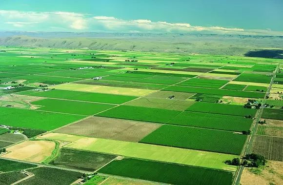 黑龙江富硒大米有哪些（黑龙江省富硒大米）-硒宝网