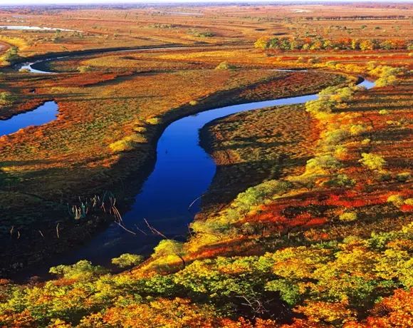 黑龙江富硒大米有哪些（黑龙江省富硒大米）-硒宝网