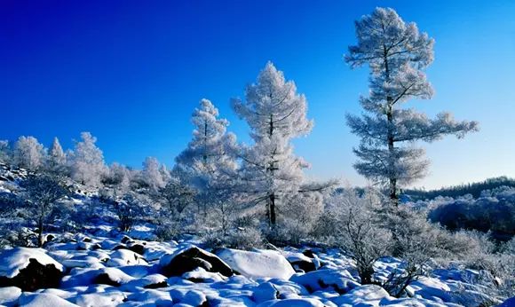 黑龙江富硒大米有哪些（黑龙江省富硒大米）-硒宝网