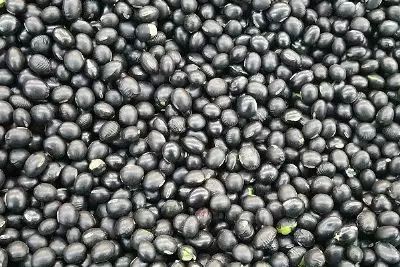 黑龙江富硒大米有哪些（黑龙江省富硒大米）-硒宝网