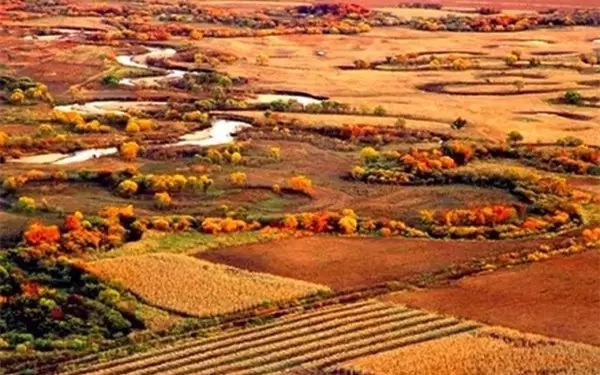 黑龙江富硒大米有哪些（黑龙江省富硒大米）-硒宝网