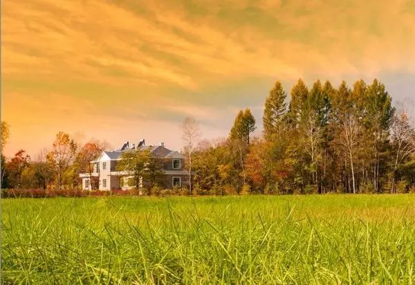 黑龙江富硒大米有哪些（黑龙江省富硒大米）-硒宝网