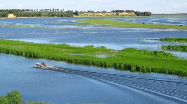 黑龙江富硒大米有哪些（黑龙江省富硒大米）-硒宝网