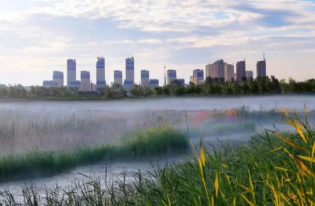 黑龙江富硒大米有哪些（黑龙江省富硒大米）-硒宝网