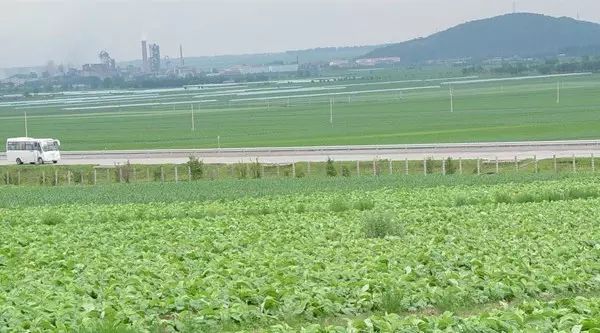 黑龙江富硒大米有哪些（黑龙江省富硒大米）-硒宝网