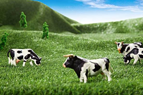 黑龙江富硒大米有哪些（黑龙江省富硒大米）-硒宝网