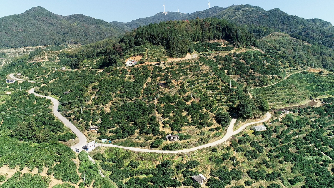 寻乌县菖蒲乡富硒大米（柳河大米姐富硒大米）-硒宝网