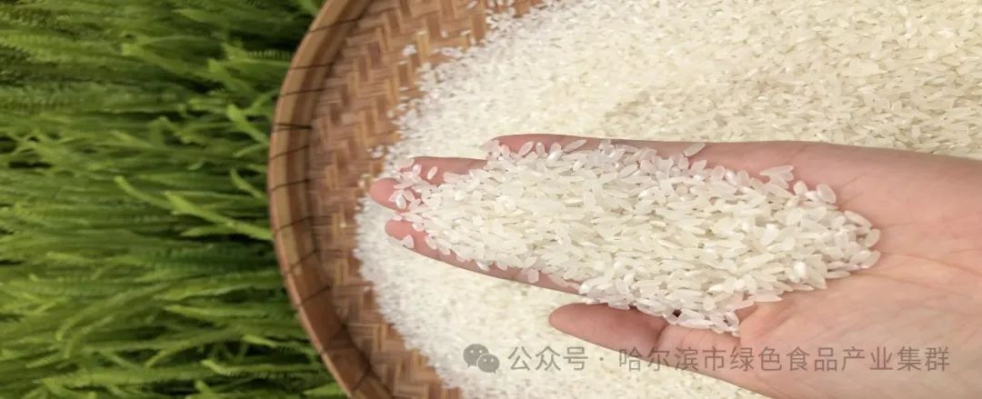 黑龙江富硒大米有哪些（东北富硒大米产地）-硒宝网