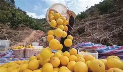 富硒大米产地供应价格(中国天然富硒大米产地)-硒宝网