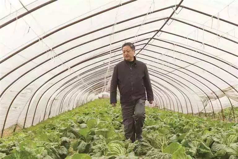 真正的富硒大米多少钱（据报道富硒大米有多种保健功能）-硒宝网