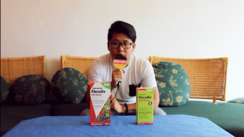 6岁儿童补铁产品哪个好(儿童补铁产品哪种好)-硒宝网