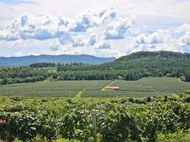 柳河富硒大米多少一斤(富硒大米好在哪)-硒宝网