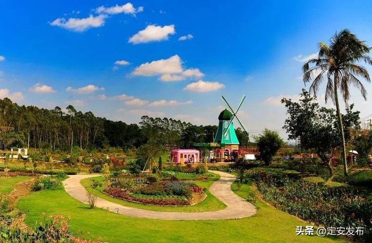 富硒大米能不能做粽子(硒米包粽子)-硒宝网