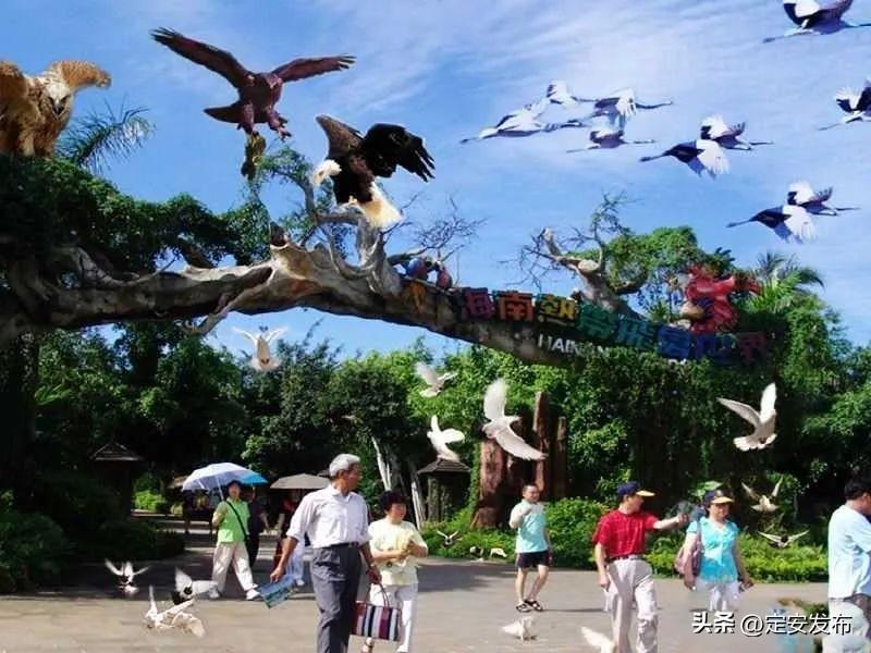 富硒大米能不能做粽子(硒米包粽子)-硒宝网