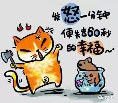 富硒大米能不能泡水喝(富硒米能不能煮粥)-硒宝网