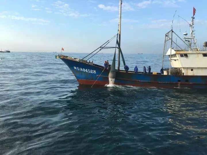 宝宝吃什么补钙最快最好(补钙宝宝)-硒宝网