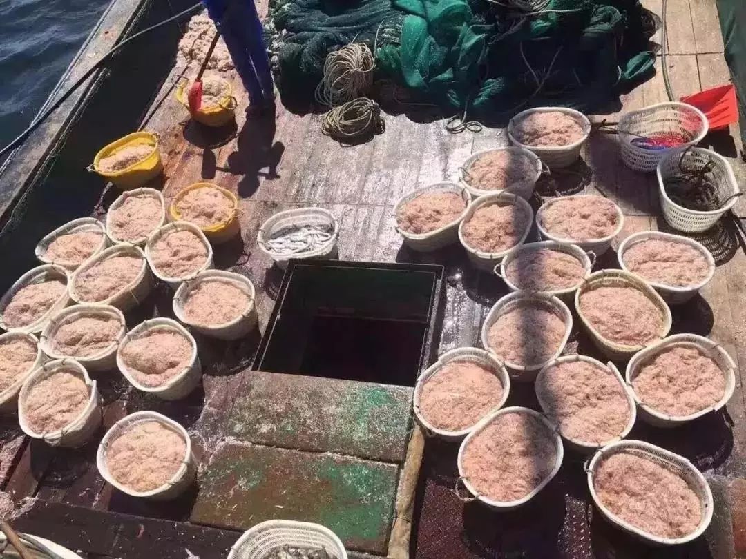 宝宝吃什么补钙最快最好(补钙宝宝)-硒宝网