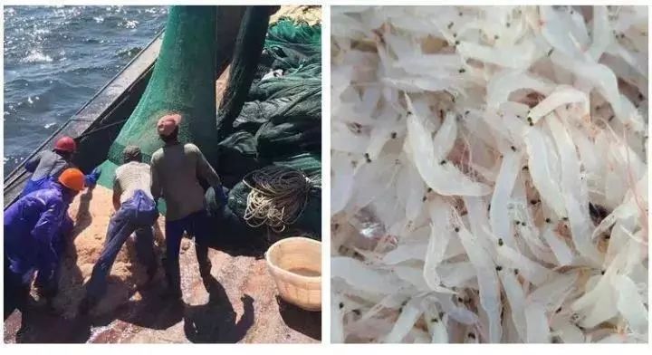 宝宝吃什么补钙最快最好(补钙宝宝)-硒宝网