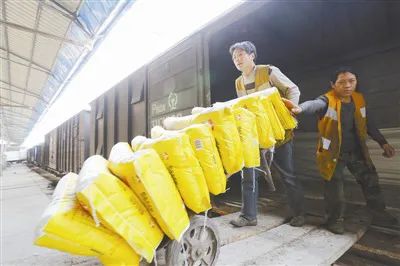 深圳富硒大米在哪儿卖(富硒大米哪里有卖)-硒宝网