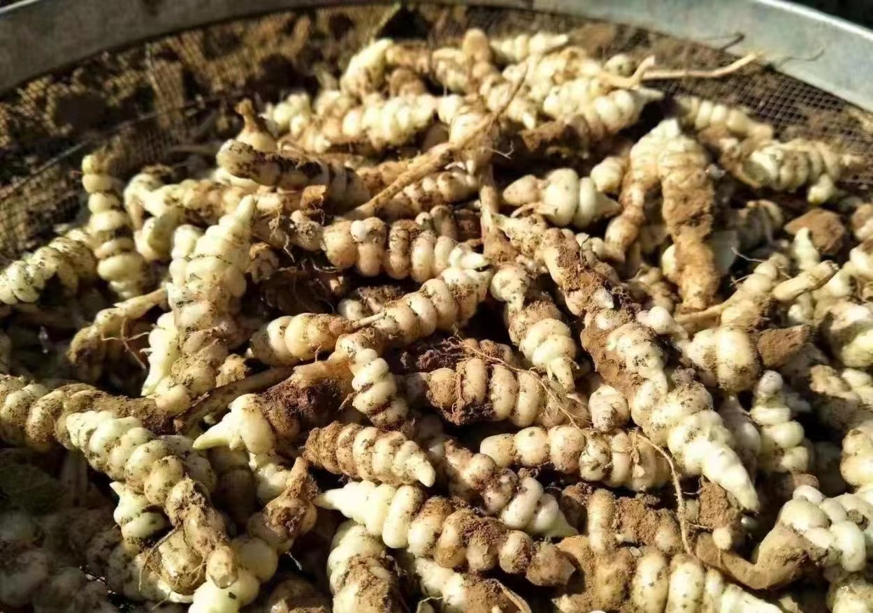 青铜峡塞外香富硒大米(富硒大米标准)-硒宝网